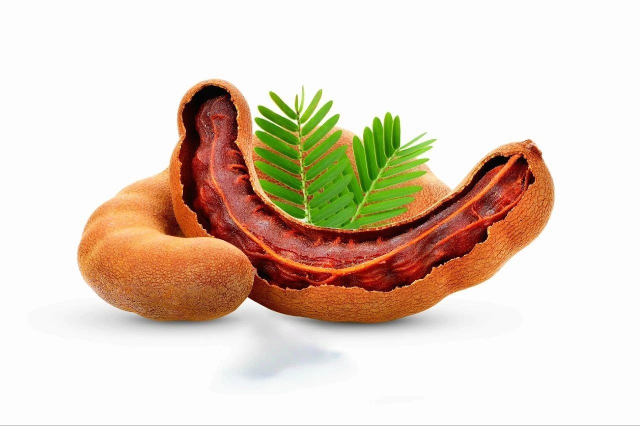 Ripe tamarind pods — വാളൻപുളി